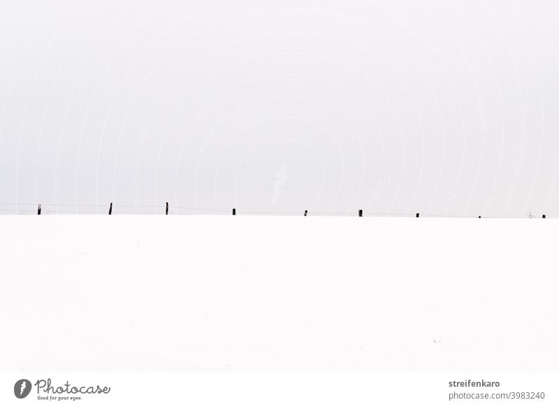 Weidezaun im Schnee, auf das Wesentliche beschränkt Zaun Winter grauer Himmel kalt Frost Menschenleer Natur Außenaufnahme Feld weiß Umwelt Tag Farbfoto gefroren