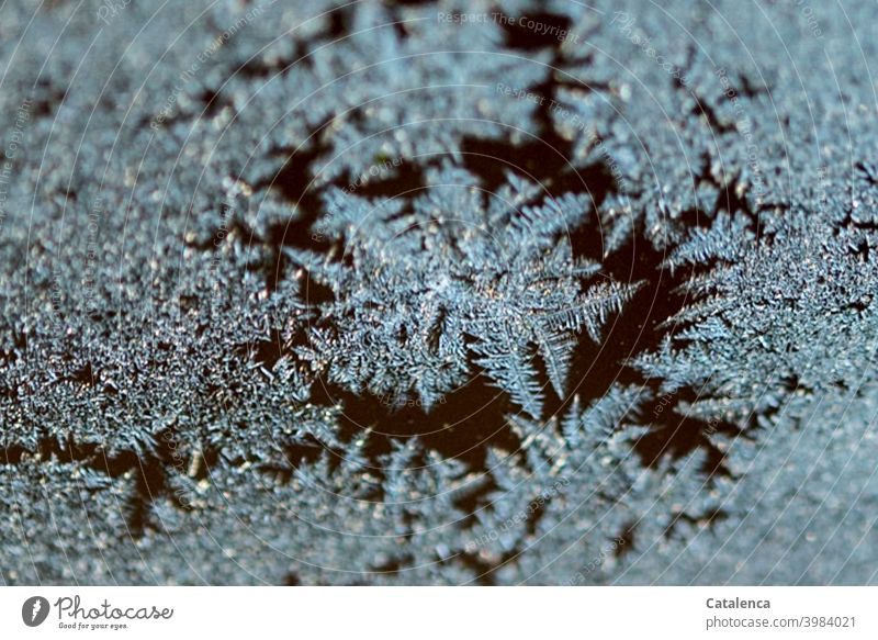 Eiskristalle auf einer Fensterscheibe Natur Winter Strucktur kalt Frost Wachstum Tag Tageslicht Türkis frieren Jahreszeit