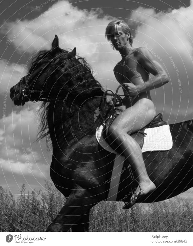 mister germany naked on horse Mann Pferd nackt Wind Natur Kraft schön