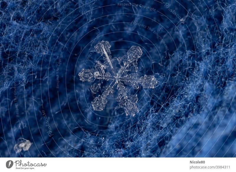 Schneeflocke auf blauem Stoff Makro Makroaufnahme makrofotografie Winter zart Eis zerbrechlich Frost Nahaufnahme Außenaufnahme kalt Eiskristall Natur frieren