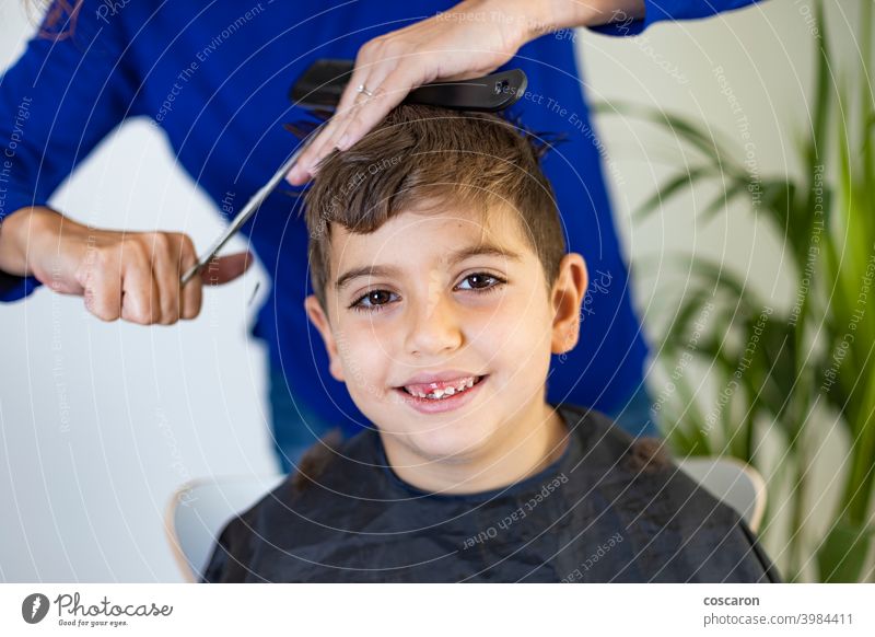 Lustiger Junge bekommt Haarschnitt zu Hause mit Schere bezaubernd Friseur Barbershop Schönheit Kaukasier Kind Kindheit schließen Kamm geschnitten niedlich Gerät