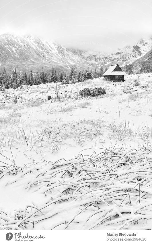 Gasienicowa Tal mit Holzhütte im verschneiten Winter, Tatra-Gebirge, Polen. Berge u. Gebirge Landschaft Hütte Schnee weiß schwarz Schneefall schön malerisch