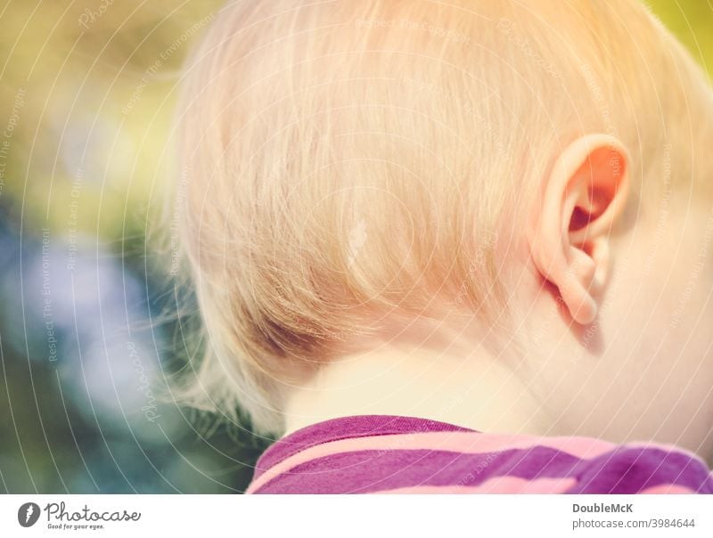 Der Hinterkopf eines Kleinkindes Mädchen Kindheit Mensch 1 1-3 Jahre Farbfoto Außenaufnahme Tag Wegsehen Schwache Tiefenschärfe feminin Freizeit & Hobby
