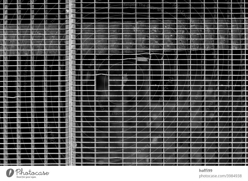 Gitterroste mit Lücken Raster grau Gitternetz Muster Metall Strukturen & Formen eckig abstrakt Linie Stahl Detailaufnahme Design Zaun