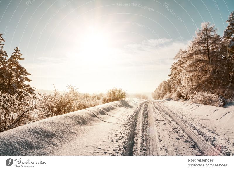 Ein Wintertraum, verschneite Landstraße im Sonnenschein schnee vereist neuschnee winter winterdienst wintereinbruch straßenverhältnisse schneefall wintertag