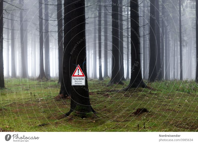 Warnschild Forstarbeiten in einem nebligen Wald wald baum nebel holzeinschlag forstarbeiten waldarbeit warnschild sicherheit risiko gefahr warnung lichtung