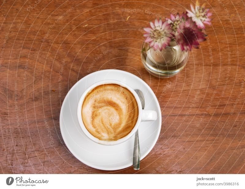 Kaffeebild mit Blümchen vor dem trinken und schmecken Tasse Kaffeetasse Kaffeepause Heißgetränk Café Kaffeetrinken Tischplatte Blumenvase Schnittblume