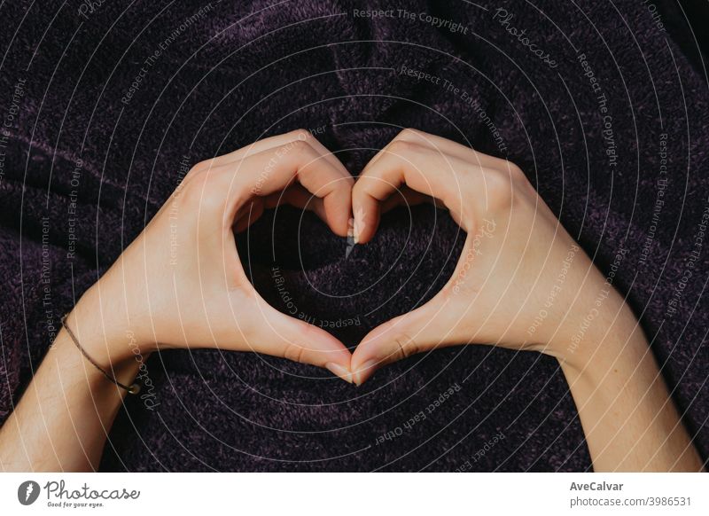 Ein Paar Hände, die ein Herz über einer lila Decke bilden Person menschlich Ideen Kreativität Leben Liebe Romantik Valentinsgruß Form jung Inspiration Gefühle