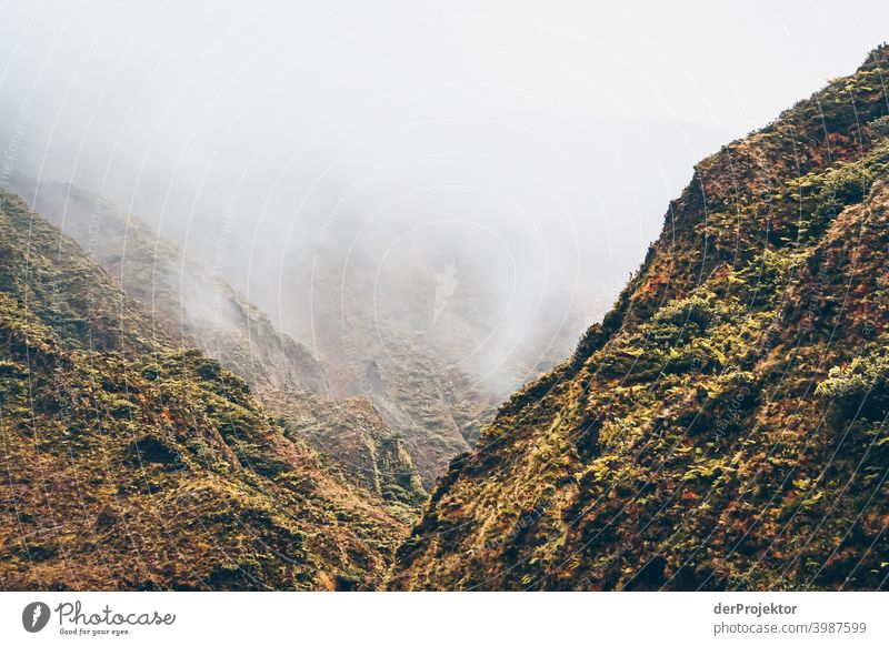 Tal auf den Azoren im Nebel abwärts Profil Ganzkörperaufnahme Zentralperspektive Starke Tiefenschärfe Lichterscheinung Kontrast Tag Textfreiraum Mitte