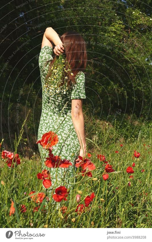 Rückansicht einer jungen Frau mit langem Sommerkleid Blumen in der Hand in einem Mohnfeld frisch natürlich retro Mädchen schlank Junge Frau feminin hübsch