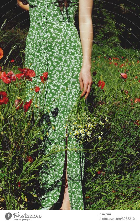Unterer Ausschnitt einer jungen Frau mit langem Sommerkleid, die Blumen in einem Mohnfeld hält frisch natürlich retro Mädchen schlank Junge Frau feminin hübsch