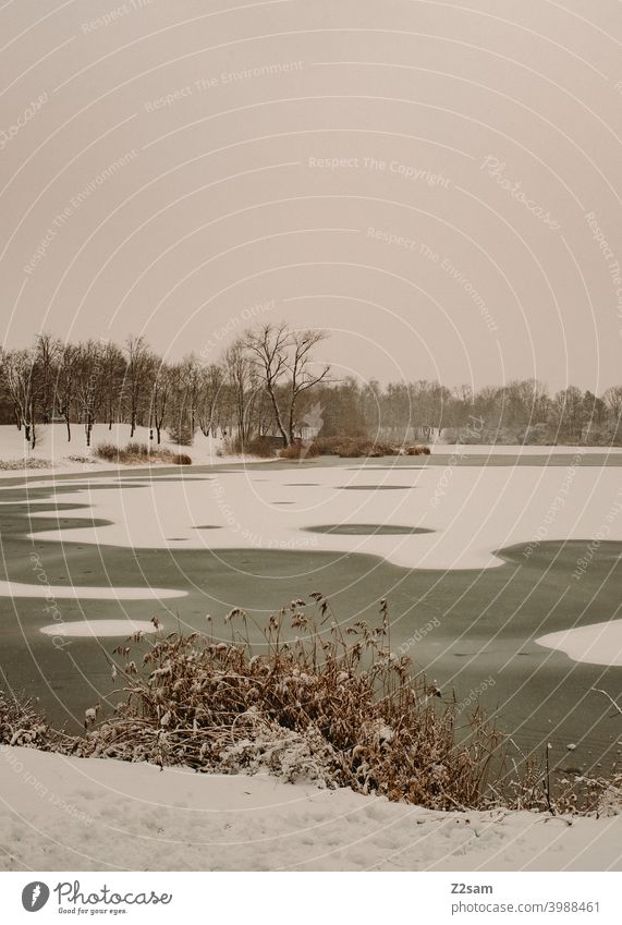 See im Winter winter winterlandschaft schnee natur ruhe trist grau warm dorf stadt weiß minimalismus klima klimawandel see gefroren weiher wasser eis