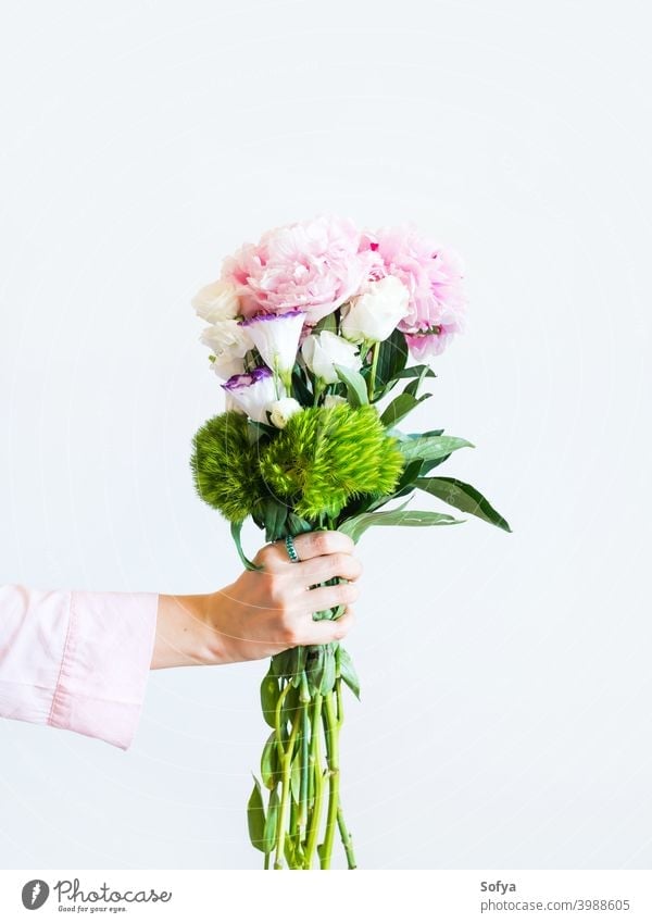Weibliche Hand hält schöne Pastell Pfingstrose Bouquet Frau Blumen Blumenstrauß Mutter Tag Blumenhändler Beteiligung Muttertag rosa Frühling Lifestyle