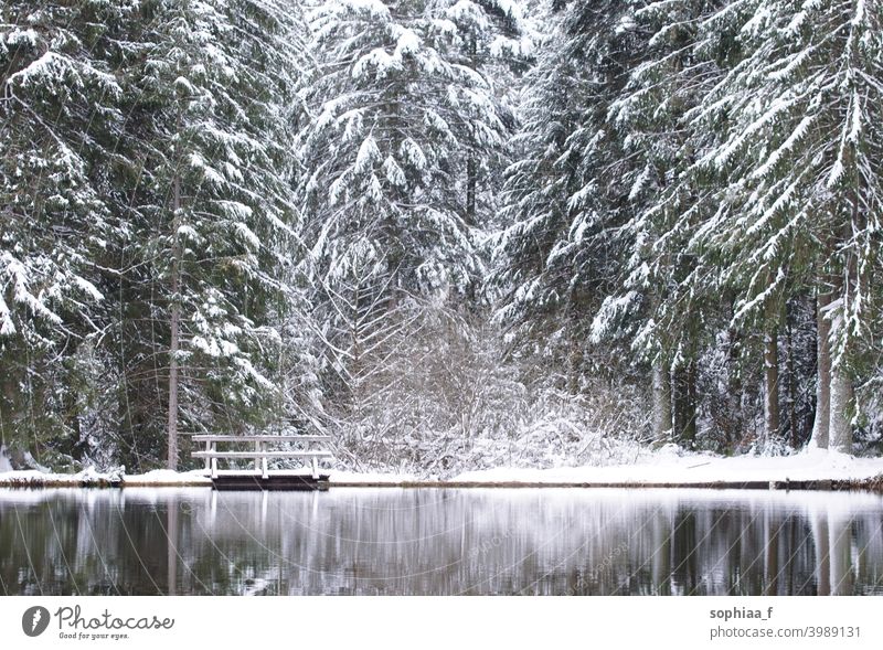 Winterwunderland im Nadelwald - See mit kleiner Holzbrücke und Schnee auf Tannenbäumen Steg vorbei Brücke Reflexion & Spiegelung Schwarzwald erste idyllisch