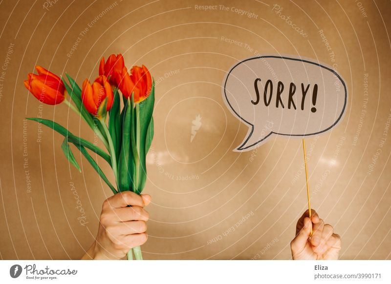 Hände halten einen Blumenstrauß aus Tulpen und eine Sprechblase in der das Wort Sorry steht. Entschuldigung. Reue um Verzeihung bitten Kommunikation geschrieben