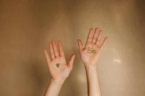 Hände mit dem Wort Bio und einem Herzen in grüner Farbe Ökologisch Bioprodukte nachhaltig gesund Ernährung umweltfreundlich biologisch Mensch ökologisch