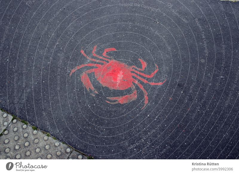 rote krabbe auf asphalt krebs taschenkrebs straße boden aufgemalt aufgesprayt fischmarkt hafen fischrestaurant naturkundemuseum streetart wegweiser symbol