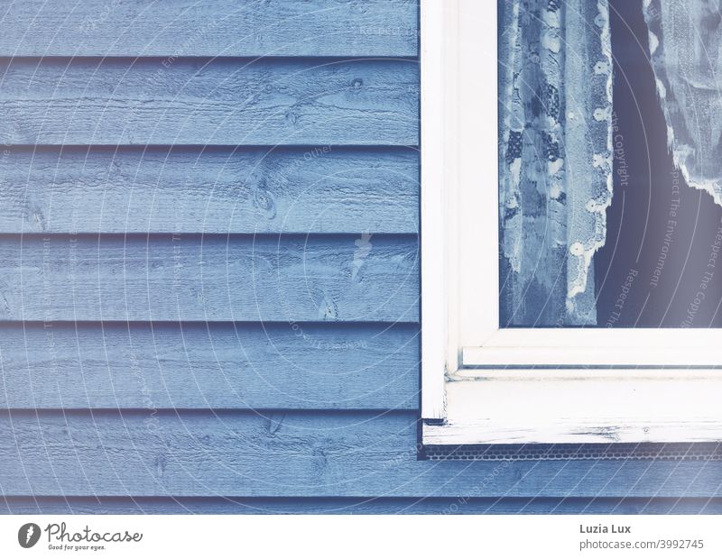 Ein weißes Holzfenster in einer blauen Holzwand, durch das Licht im Zimmer wirkt auch die zarte Gardine blau alt schön Spitze Spitzengardine Fenster