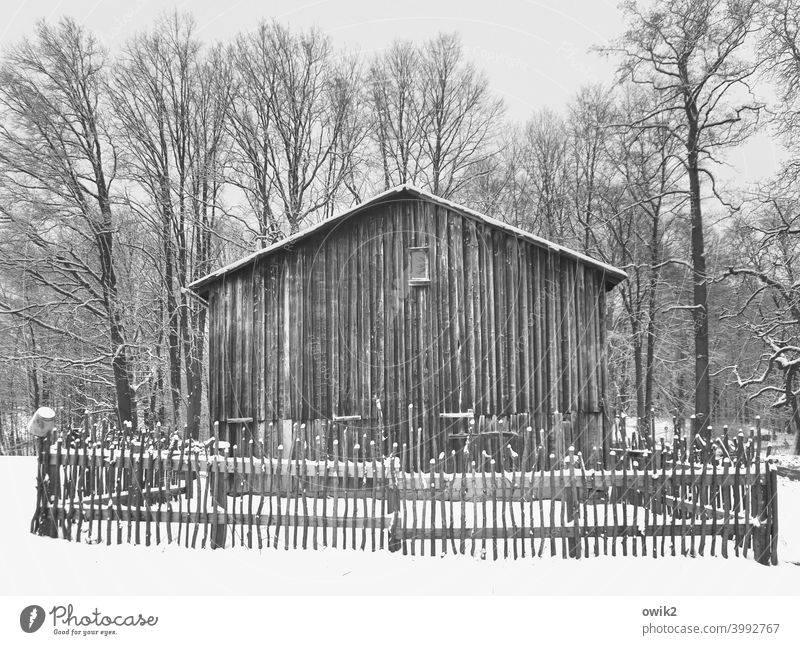 Standort Gebäude Haus Scheune Schnee Frost Eis Schönes Wetter Winter Landschaft Umwelt Idylle demütig ruhig geduldig frieren warten Schneedecke ruhend