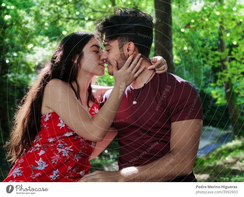 Paar in einem Wald, das sich gegenseitig ansieht und küsst Glück Frau Mann Kuss Natur Liebe romantisch Heirat grün Sitzen weiß Partnerin sehen verliebt Blick
