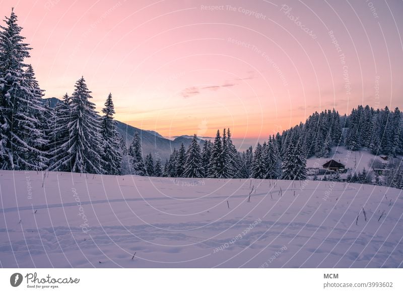 Blick über verschneite Berglandschaft in den Rumänischen Karpaten im Winter Rumaenien Winterlandschaft Schnee Schneelandschaft Abendstimmung Abendlicht Huette