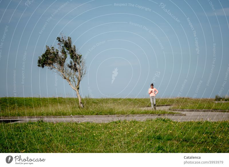 Beschäftigt schaut die junge Frau auf ihr Handy Natur Landschaft spazieren gehen schauen Baum Pflanze Wiese Himmel schönes Wetter Sommer Tag Tageslicht Grün
