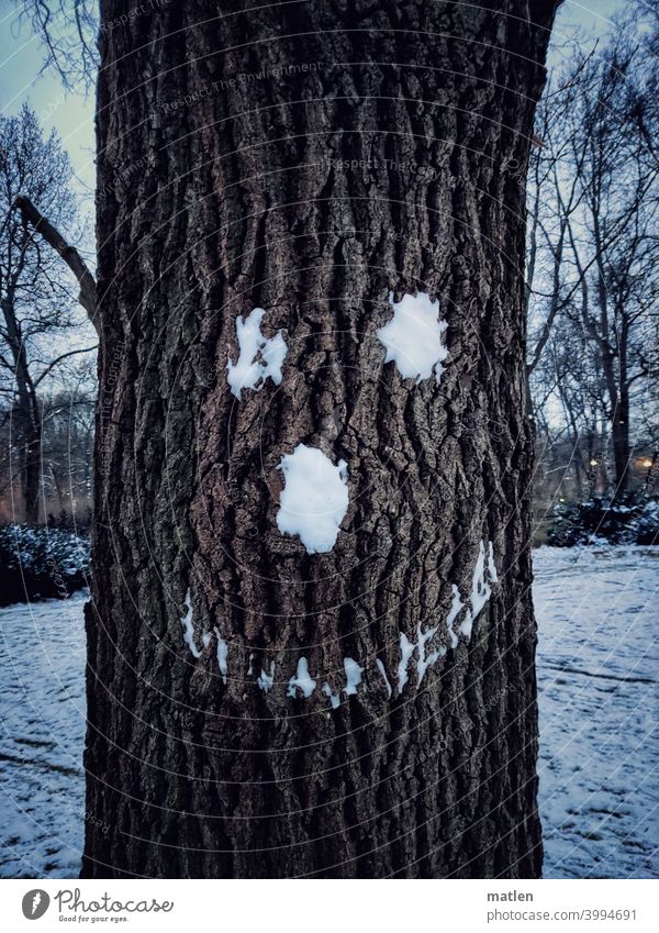 Schneeley Smiley Baum Gesicht Lächeln Menschenleer Außenaufnahme Optimismus Farbfoto Rinde
