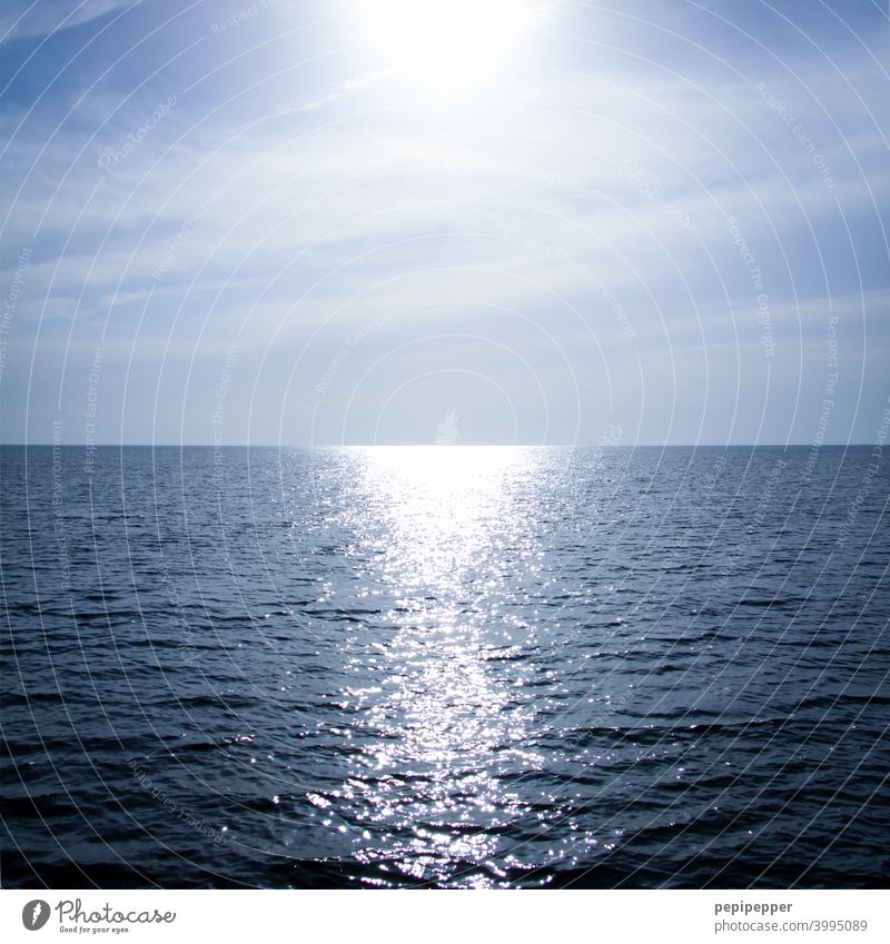 Horizont mit Sonnenspiegelung auf offenen See Ozean Meer Wasser Sonnenlicht Himmel Ferien & Urlaub & Reisen offene see Sommer Ferne Außenaufnahme Schönes Wetter