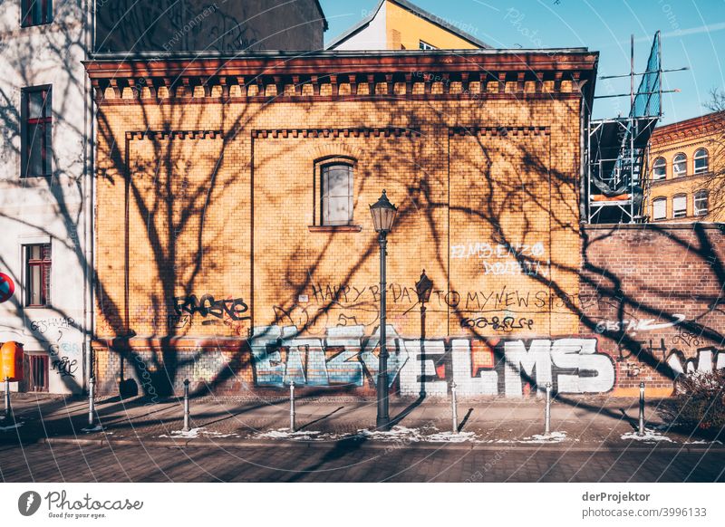 Baumschatten im Winter in Kreuzberg Mauer Wand trendy Licht Tag Textfreiraum Mitte Außenaufnahme Experiment Textfreiraum oben Berlin Farbfoto Himmel (Jenseits)