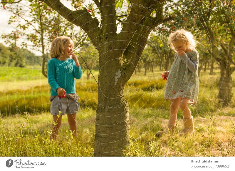 ....unterm Kirschbaum* Frucht Kirsche Lifestyle Freizeit & Hobby Spielen Sommer Sonne Garten Mädchen Freundschaft Kindheit 2 Mensch 3-8 Jahre Umwelt Natur