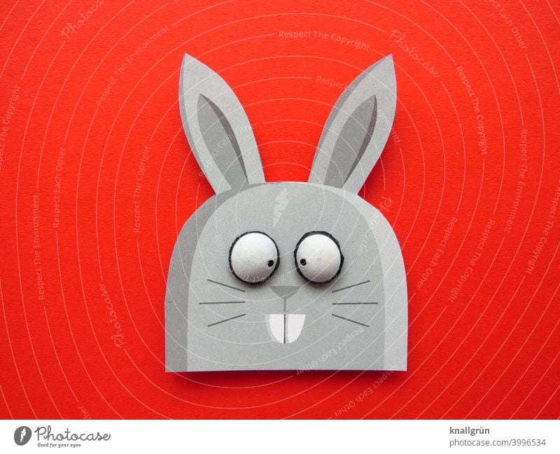 Hase Hase & Kaninchen Schielen Ostern Osterhase lustig Tier DIY Basteln witzig große Augen Farbfoto rot grau schwarz weiß Hasenzähne Hasenohren Papier
