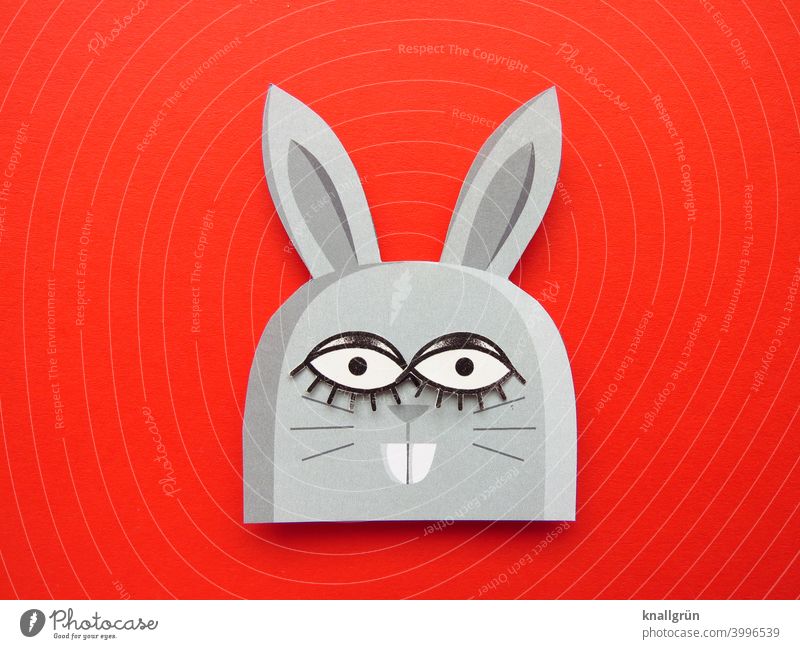 Hasi Hase & Kaninchen Nagetiere Ostern Osterhase lustig Tier große Augen Hasenzähne DIY Basteln Blick Farbfoto niedlich witzig Papier Hasenohren Menschenleer