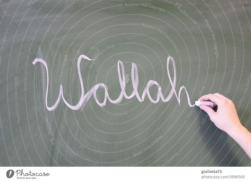 Wallah - mit Kreide an die Tafel geschriebenes Jugendwort Zentralperspektive Tag Farbfoto Jugendsprache Coolness Umgangssprache trendy Jugendkultur