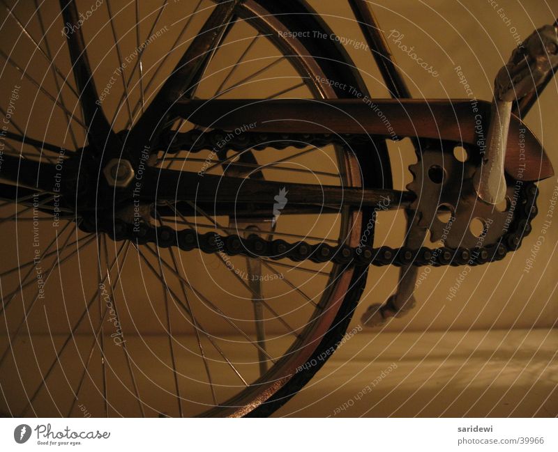 Das Rad Fahrrad Pedal vorwärts Mobilität Freizeit & Hobby Speichen Kette