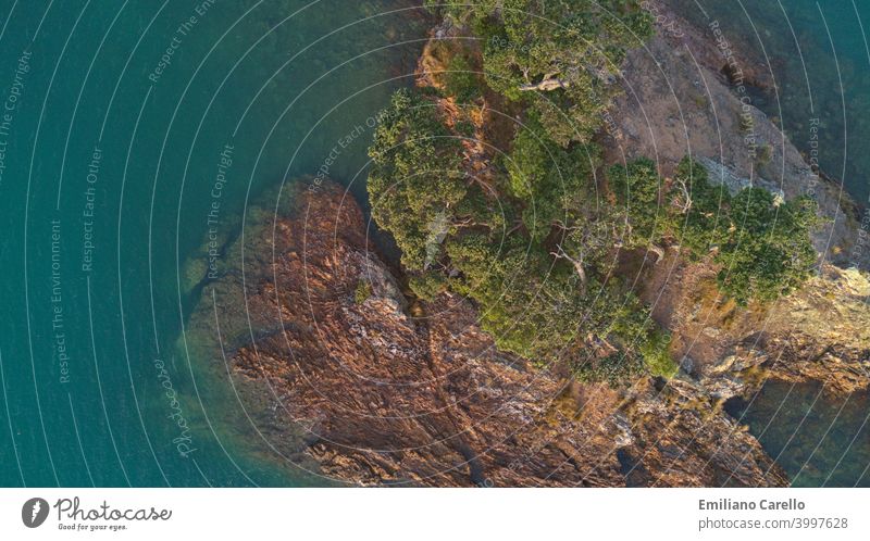 Luftaufnahme Rock Island in Rocky Bay. Waiheke Island in New Zelanad. Dröhnen Drohnenansicht Felsen MEER Wasser Baum natürlich Landschaft