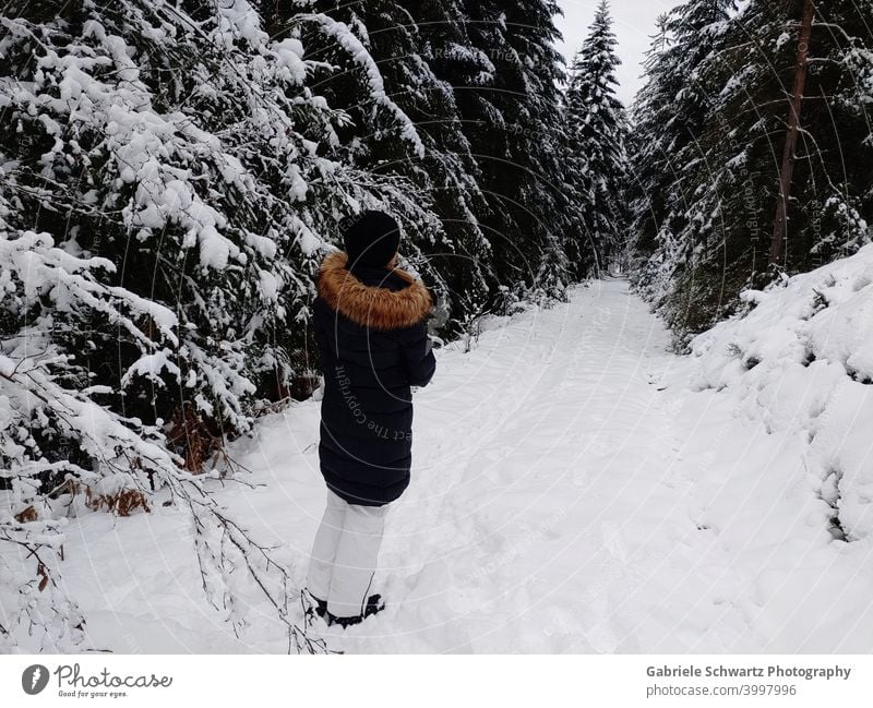 Frau bei Spaziergang im Wald mit Schnee Tannen Schwarzwald Waldweg Wintermantel Skihose Mütze Weiß schwarz braun kalte Jahreszeit frostig gefroren Zweige