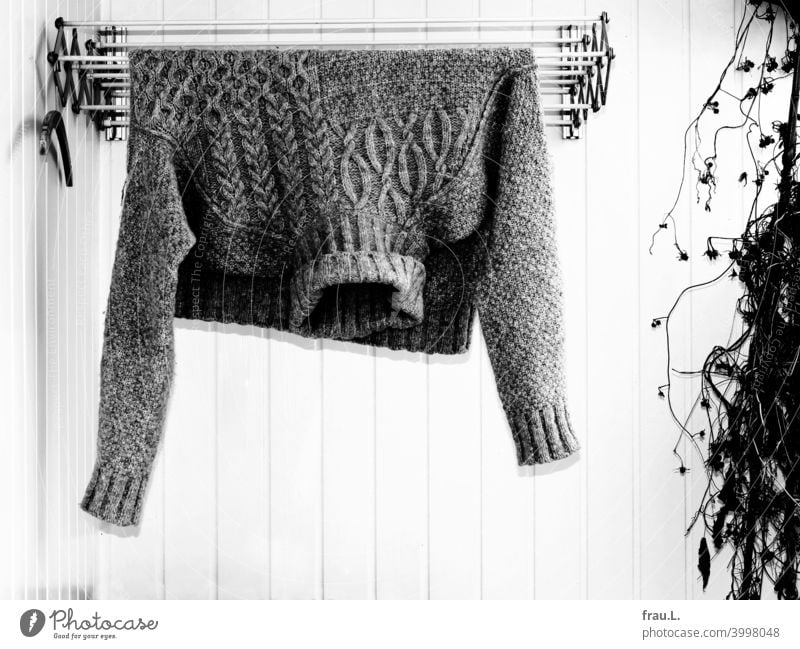 Gut gelüftet Pullover Wollpullover Wäschetrockner Winter Bekleidung Wolle Pflanze Wand Mode Kleiderbügel geblitzt Balkon