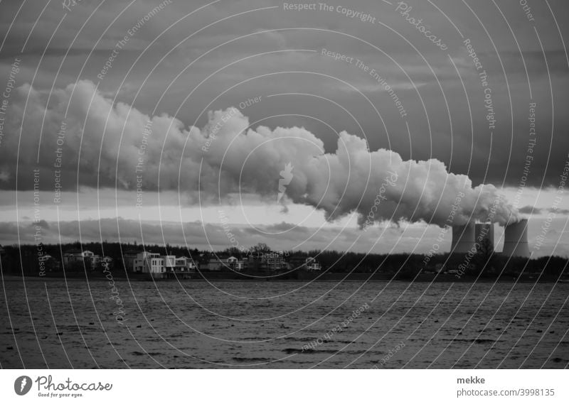 Kraftwerkswolke im grauem Dezemberwetter Wolken Kühlturm See bewölkt Schwarzweißfoto Wasser Wasserdampf Verschmutzung Energie Braunkohle Wind driften