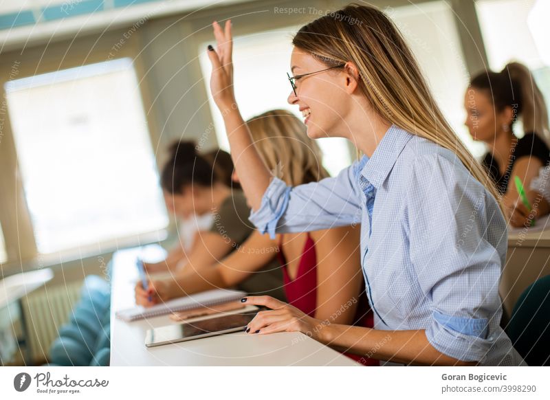 Universitätsstudenten im Klassenzimmer schulisch Aula schön Kaukasier Klassenkamerad Klassenraum Schreibtisch Bildung lehrreich Frau Menschengruppe