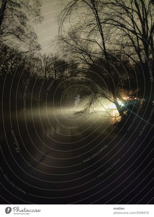 Fruehlingsnacht Eis Enten Nacht See kalt Lichtschein Außenaufnahme geheimnisvoll dunkel Menschenleer Einsamkeit Baum