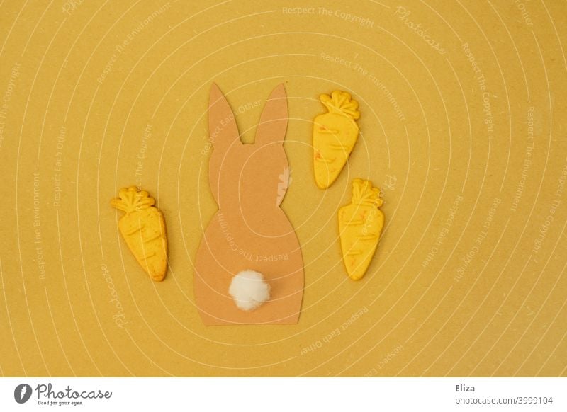 Hase mit Karotten auf gelbem Hintergrund. Ostern. Möhren Flatlay Osterhase Kekse orange Konzept Dekoration osterdekoration