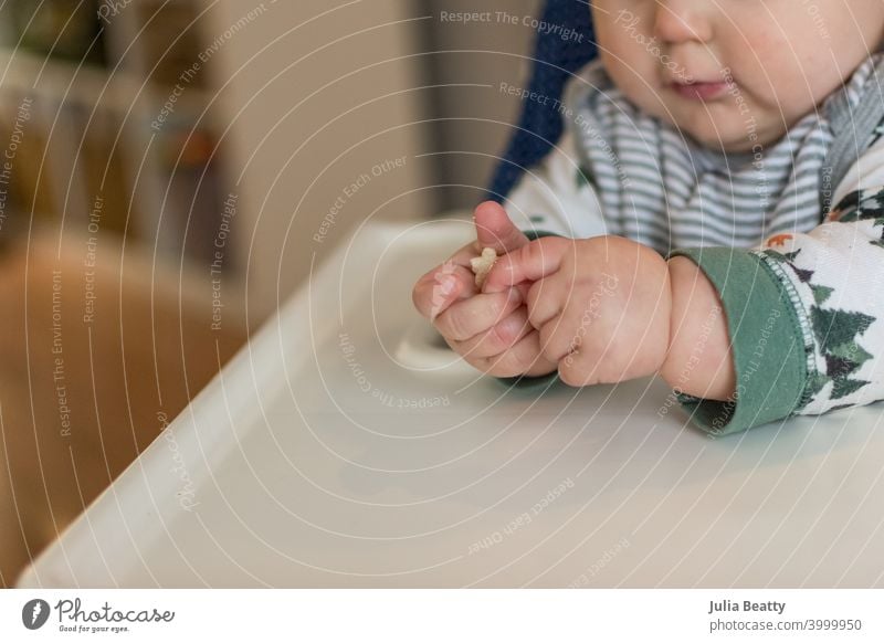 7 Monate altes Baby lernt Zangengriff, um kleine Puffmüsli zu essen; zwei Hände greifen Nahrung Baby led weaning palmar Säugling Kind 6 Monate alt feste Nahrung
