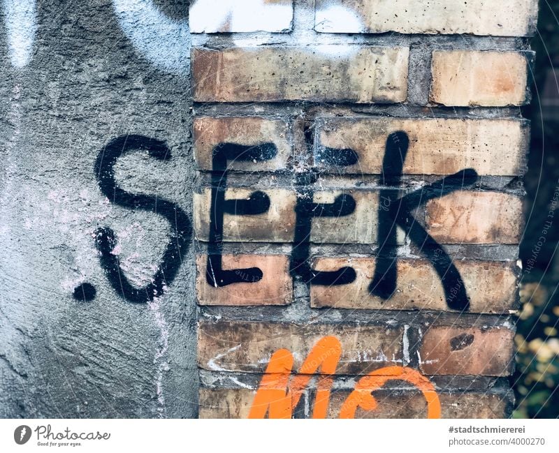 Seek Suche Suchen Finden seek Hinweis Mauer Wand Graffiti Schmiererei Straßenkunst Wort Fassade Menschenleer Außenaufnahme Text