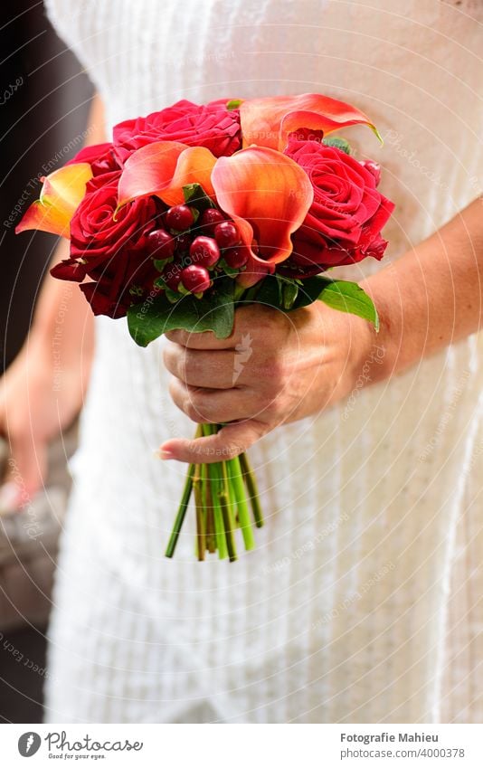 moderner Hochzeitsstrauß Blume Erwachsener Ordnung schön Blüte Blumenstrauß hochzeitlich Braut Brautjungfern Blumen Feier Festakt Nahaufnahme Kleid Eleganz