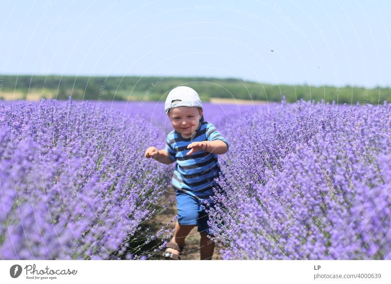 Kind läuft durch ein Lavendelfeld Tag Hintergrund neutral abstrakt Experiment Außenaufnahme Botanik friedlich Frühlingsgefühle Menschenleer Hoffnung Glück