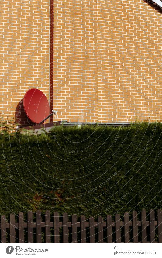 satellitenschüssel Satellitenantenne Parabolantenne Satellitenschüssel Haus Zaun Hecke Mauer Nachbarschaft Wand
