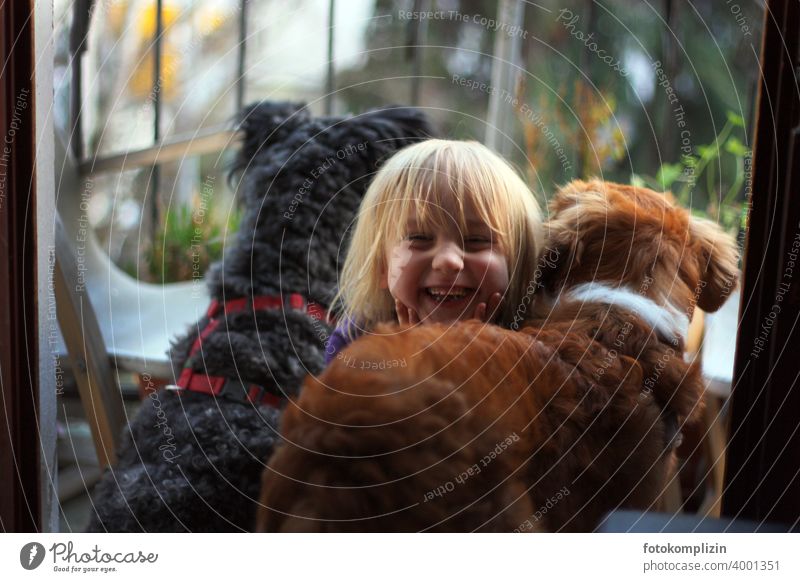 Kind glücklich zwischen zwei Hunden Hundeliebe Tierliebe Haustier Kinder und Tiere Tierkommunikation Mensch und Hund Fröhlichkeit Kleinkind nah Kindheit