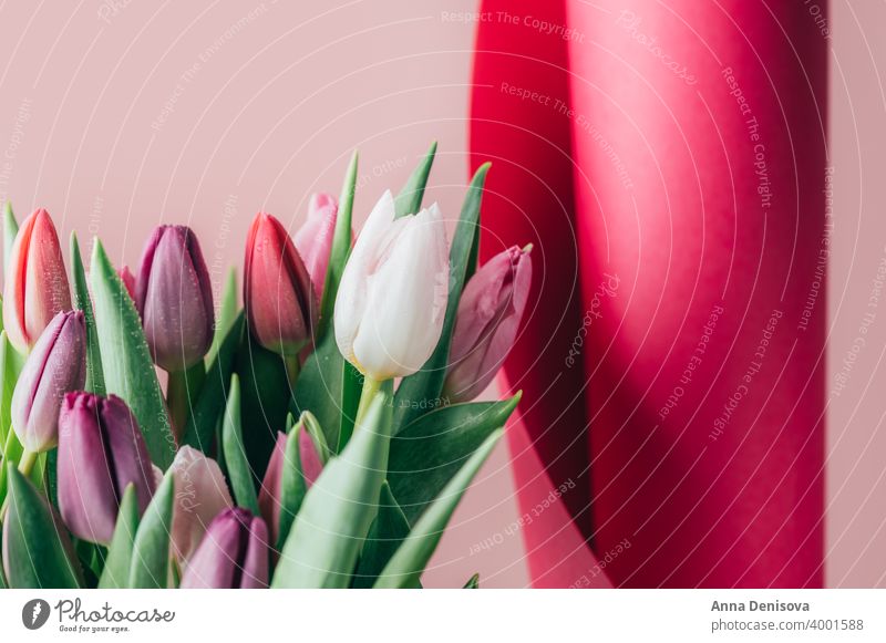 Bunter klassischer Tulpenstrauß Tag Haufen Blume Blumenstrauß Muttertag purpur rosa Natur Frühling grün 8. März schön Farbe Blüte Postkarte Sommer rot Geschenk