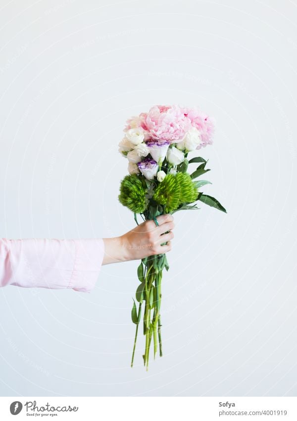 Weibliche Hand hält schöne Pastell Pfingstrose Bouquet Frau Blumen Blumenstrauß Mutter Tag Blumenhändler Beteiligung Muttertag rosa Frühling Lifestyle