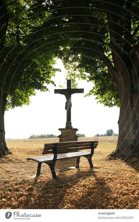 Andachtsstätte unter Bäumen mit Kruzifix und Sitzbank im Gegenlicht Religion Christentum evangelisch protestantisch katholisch kirchlich Andachtstätte Gebet